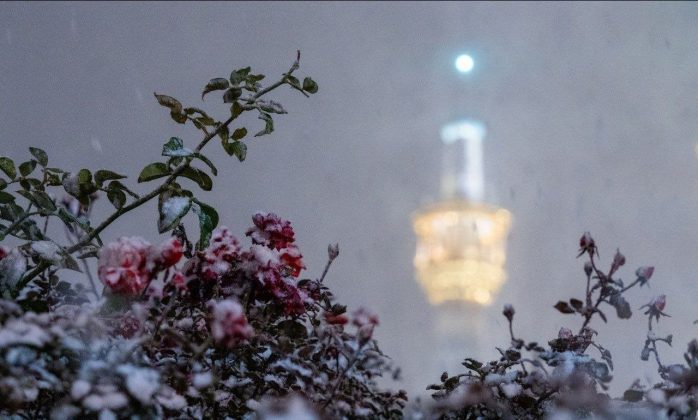 Pictures: A serene dance of snow at Imam Reza's shrine