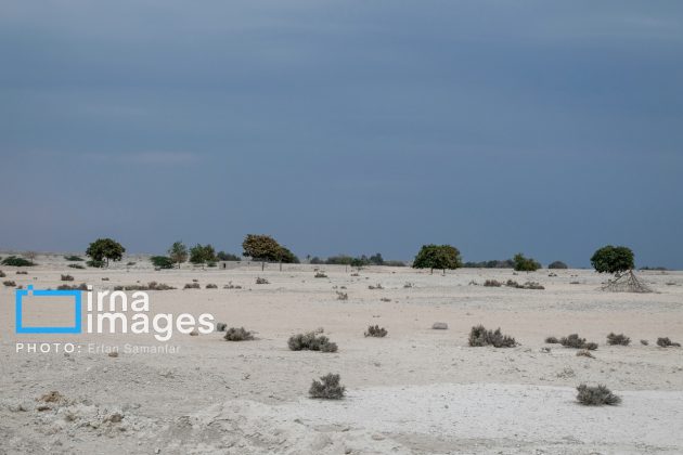 Hendurabi Island: A hidden gem in Persian Gulf