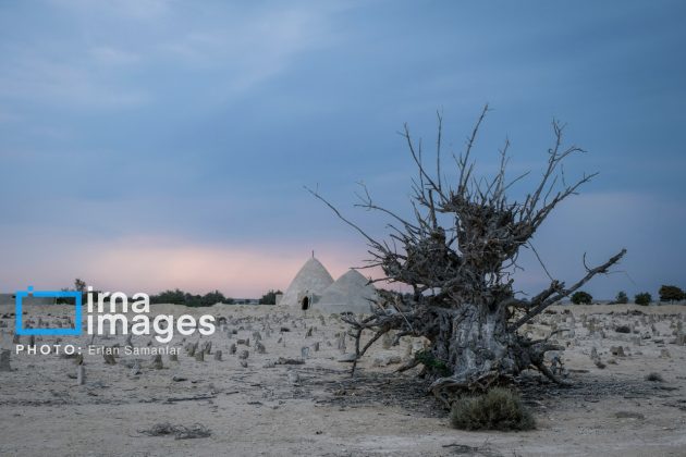 Hendurabi Island: A hidden gem in Persian Gulf