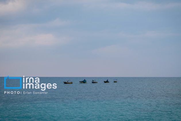 Hendurabi Island: A hidden gem in Persian Gulf