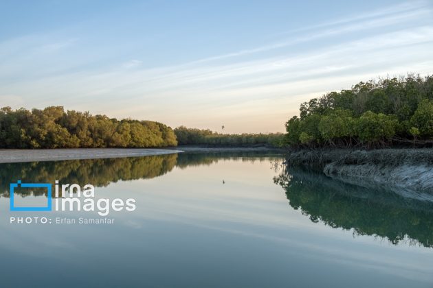 "Water's End" in southern Iran a haven for migratory birds 