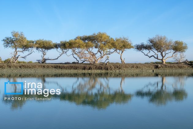 "Water's End" in southern Iran a haven for migratory birds 