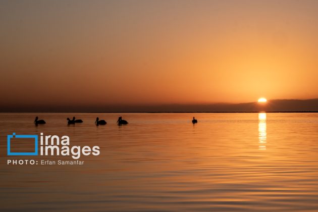 "Water's End" in southern Iran a haven for migratory birds 