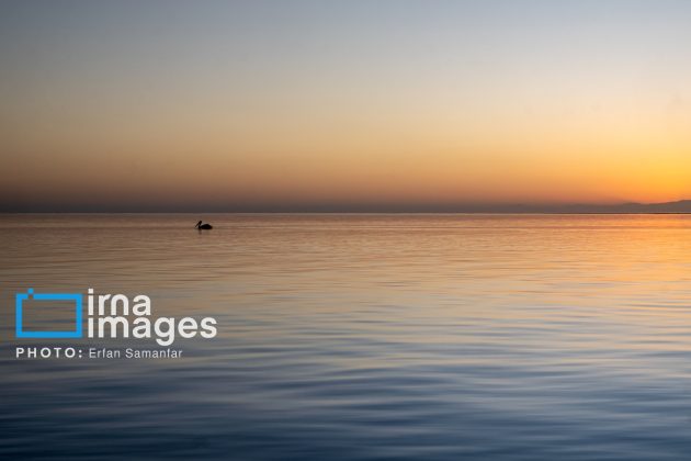 "Water's End" in southern Iran a haven for migratory birds 