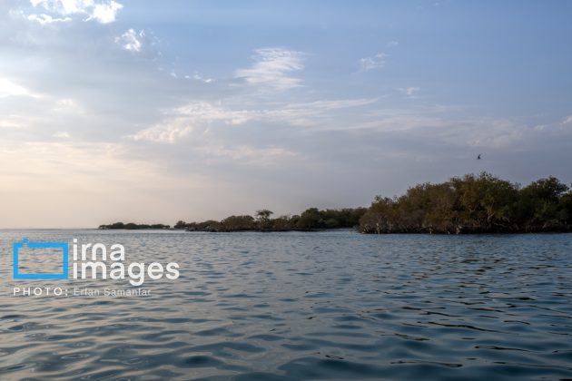 "Water's End" in southern Iran a haven for migratory birds 