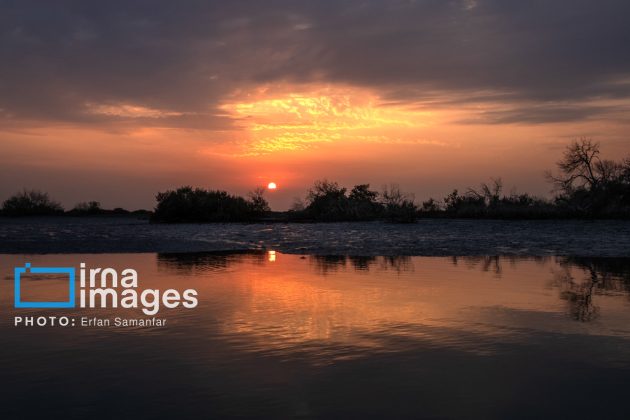 "Water's End" in southern Iran a haven for migratory birds 