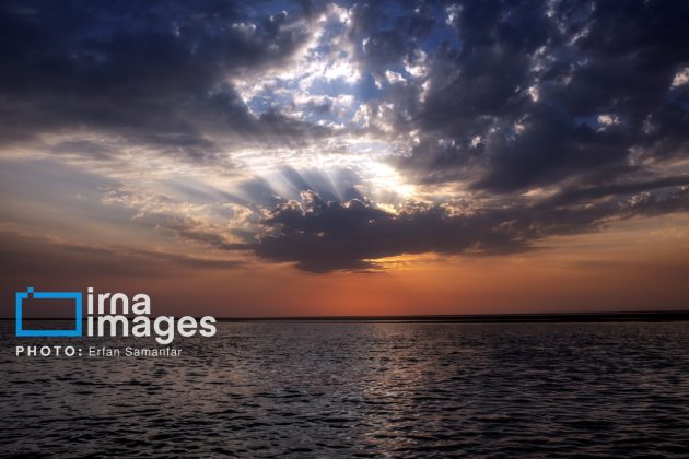 "Water's End" in southern Iran a haven for migratory birds 