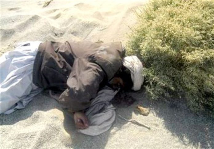 Terrorist ringleader killed in security operation in southeastern Iran