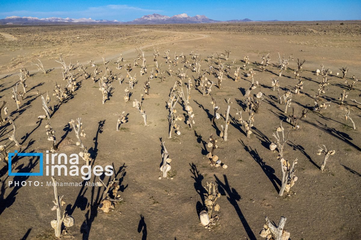 Iran's Stone Garden: A silent protest turned tourist attraction