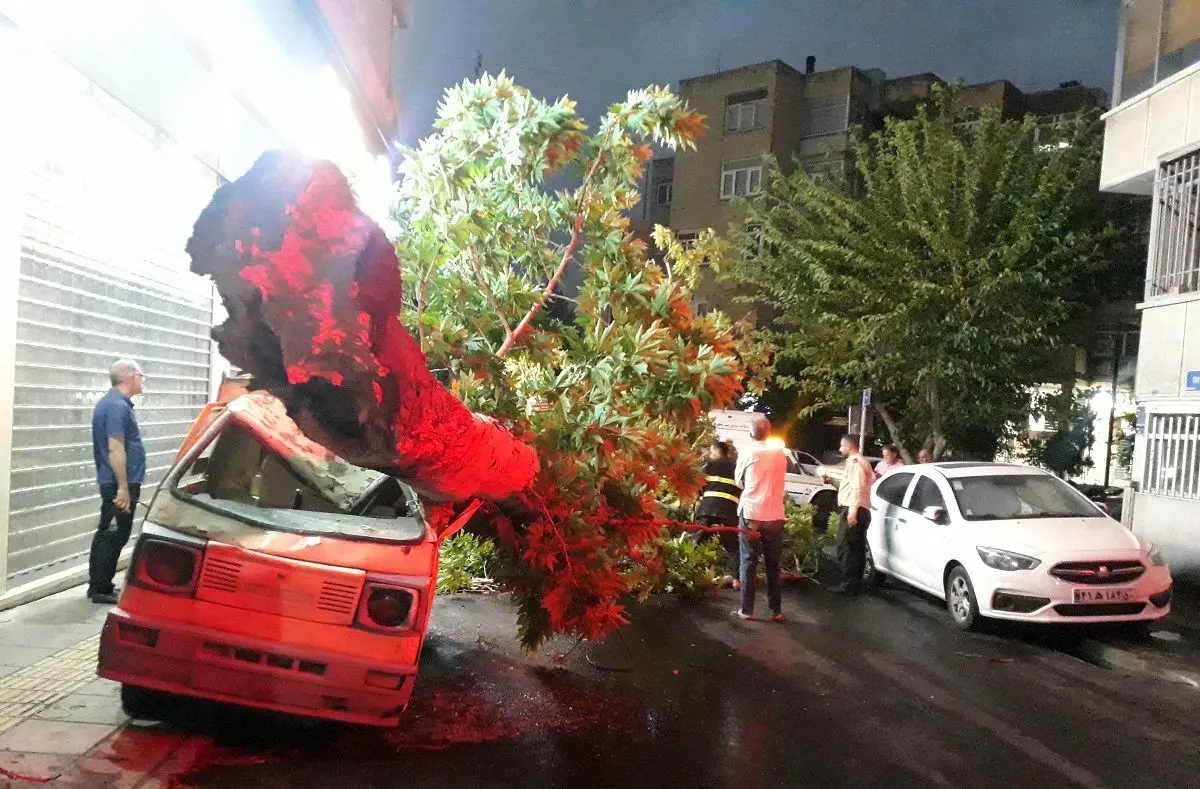 Severe weather casualties in Iran rise to 9 dead, 86 injured