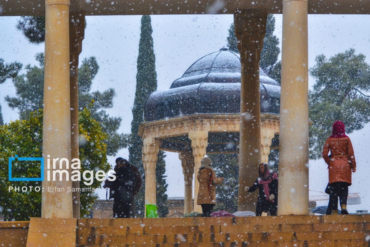 Shiraz Day: A celebration of culture and beauty