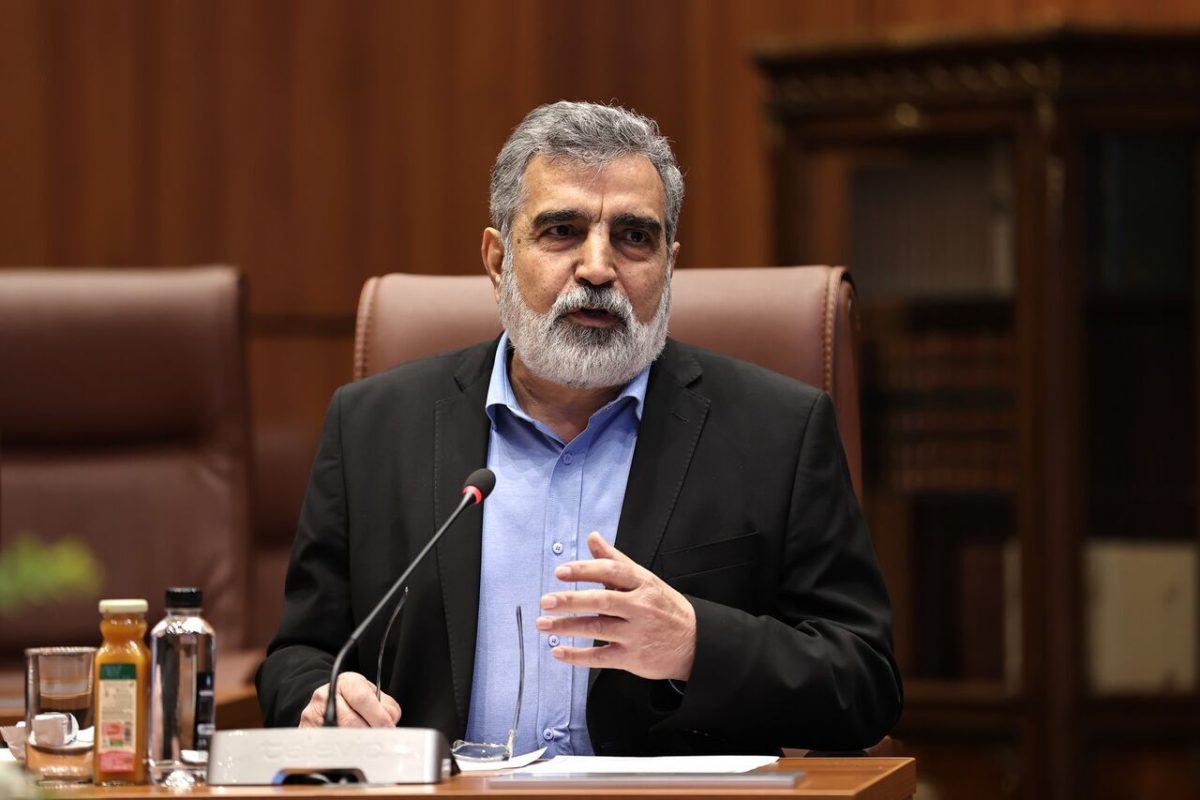 AOEI deputy rejects US claims about Iran’s enrichment activity 1 AOEI deputy rejects US claims about Iran’s enrichment activity