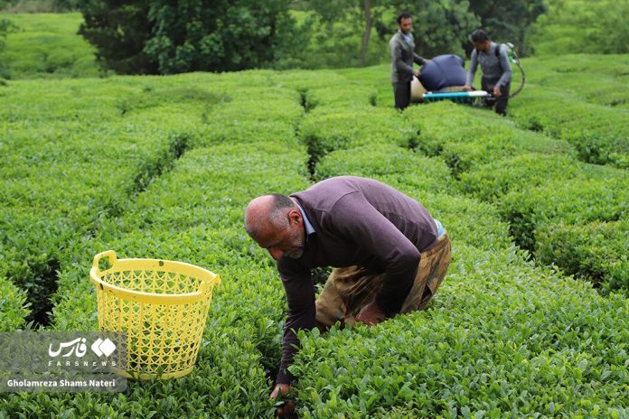 3f49d28dc035446fb3ccc053bf325f6a