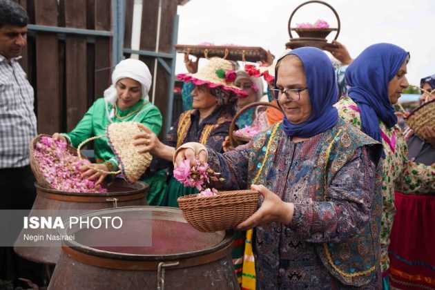 Rose harvest festival celebrates agriculture, tourism in Babol