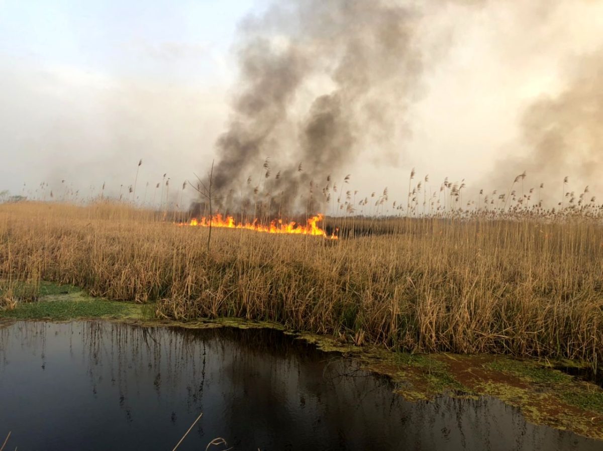 Smoke from fire in Hoor al-Azim wetland forces remote work in six cities in Iran’s Khuzestan province