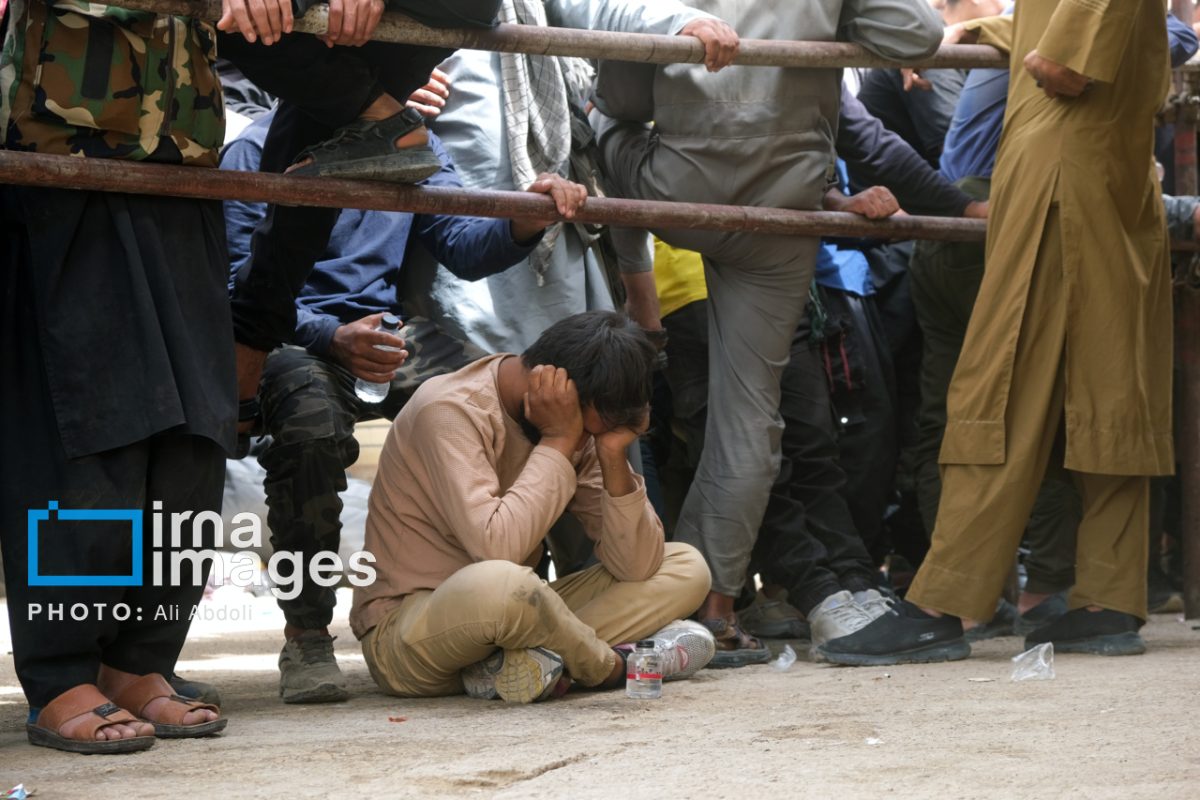 Governor of Herat: No tensions in Iran-Afghan relations amid mass return of migrants 1 Governor of Herat: No tensions in Iran-Afghan relations amid mass return of migrants