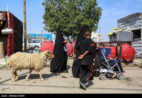 Arbaeen pilgrims march toward Karbala, Iraq