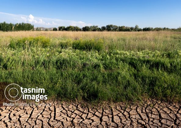 Photo report: Nowruzlu Wetland protected area in Miandoab, northwestern Iran