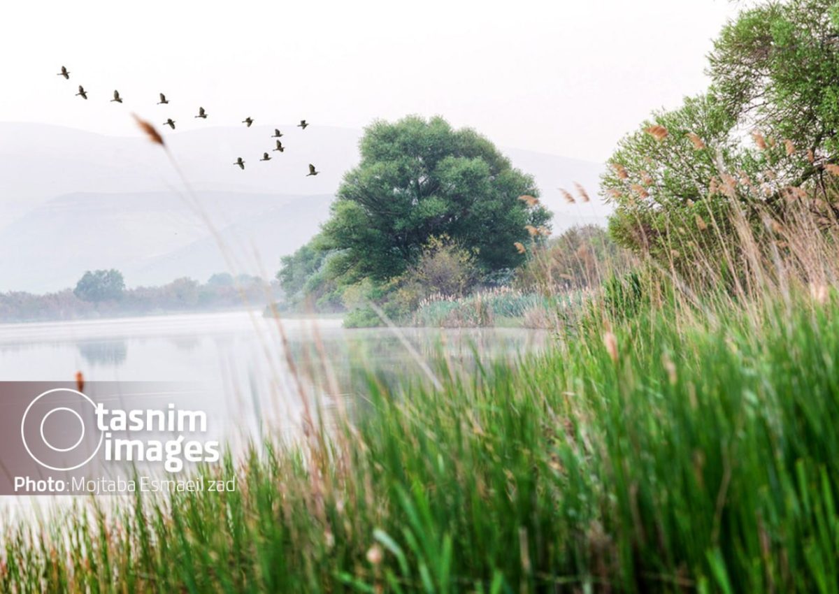 Photo report: Nowruzlu Wetland protected area in Miandoab, northwestern Iran