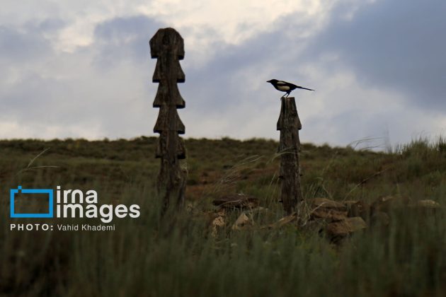 Baghlegh Wooden Cemetery in northeastern Iran                     