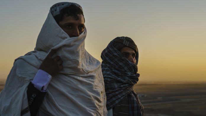 66d1b86f85f5406fe96ac9c4