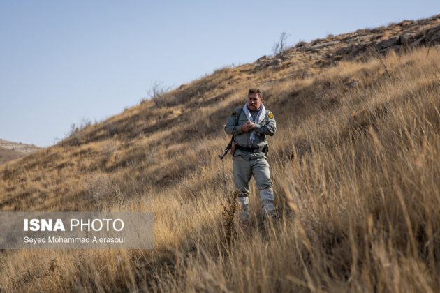 Tandoureh National Park: Guardians of Iran’s northern wilderness