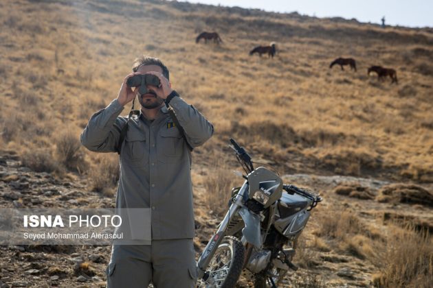 Tandoureh National Park: Guardians of Iran’s northern wilderness