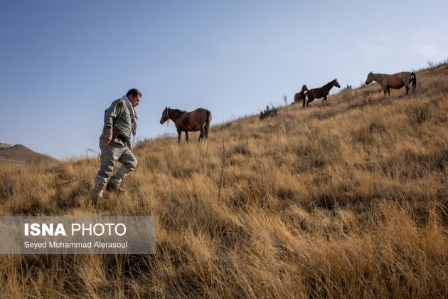 Tandoureh National Park: Guardians of Iran’s northern wilderness