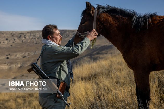 Tandoureh National Park: Guardians of Iran’s northern wilderness