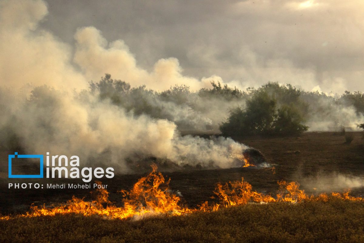 Iranian official says Tehran engages in international talks to combat forest fires 1 Iranian official says Tehran engages in international talks to combat forest fires