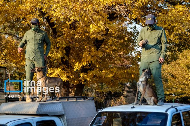 Tehran hosts “Basij Power” drill with senior IRGC commanders in attendance
