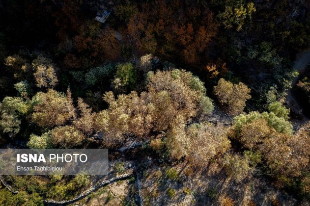 A thousand shades of autumn in Sheet Village, Iran’s Tarom