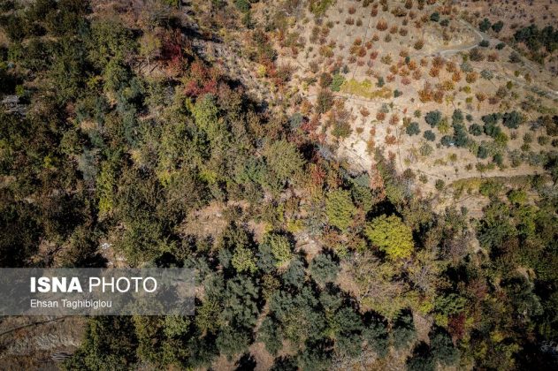 A thousand shades of autumn in Sheet Village, Iran’s Tarom