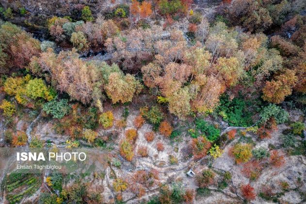 A thousand shades of autumn in Sheet Village, Iran’s Tarom