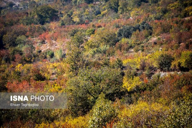 A thousand shades of autumn in Sheet Village, Iran’s Tarom