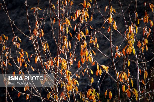 A thousand shades of autumn in Sheet Village, Iran’s Tarom
