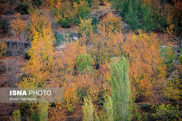 A thousand shades of autumn in Sheet Village, Iran’s Tarom
