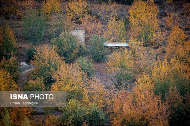 A thousand shades of autumn in Sheet Village, Iran’s Tarom