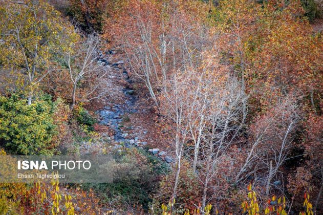 A thousand shades of autumn in Sheet Village, Iran’s Tarom