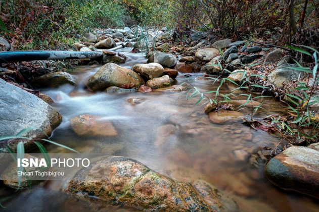 A thousand shades of autumn in Sheet Village, Iran’s Tarom