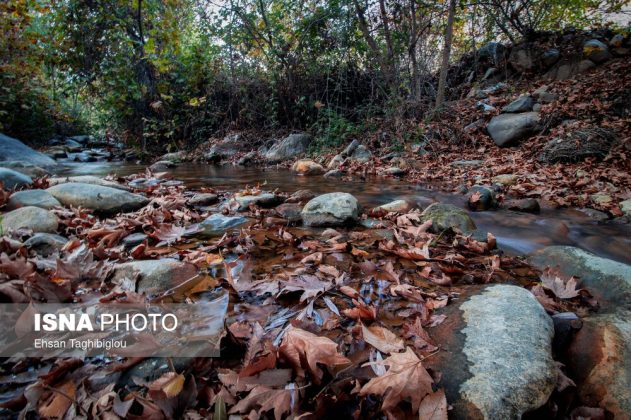 A thousand shades of autumn in Sheet Village, Iran’s Tarom