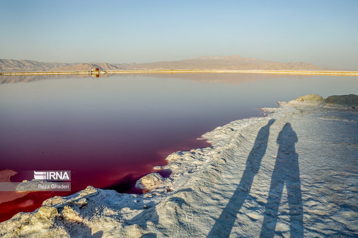 Maharloo Pink Lake comes back to life as flamingos return after autumn rains