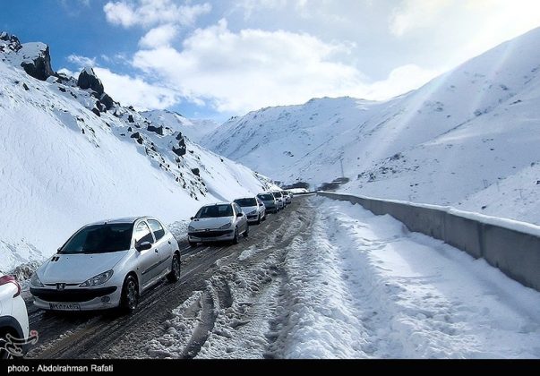 Snowfall in the Heights of Tarikdarreh, Iran's Hamadan