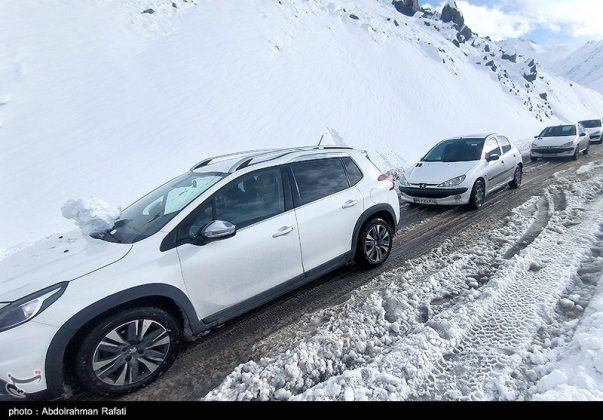 Snowfall in the Heights of Tarikdarreh, Iran's Hamadan
