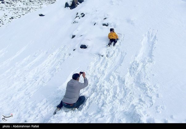 Snowfall in the Heights of Tarikdarreh, Iran's Hamadan