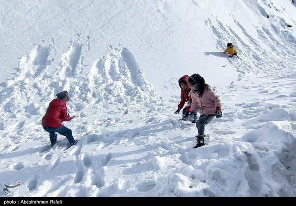 Snowfall in the Heights of Tarikdarreh, Iran's Hamadan