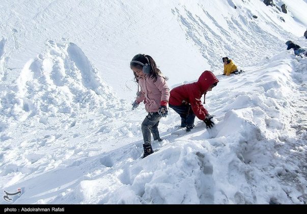 Snowfall in the Heights of Tarikdarreh, Iran's Hamadan