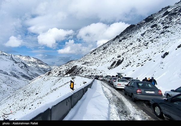 Snowfall in the Heights of Tarikdarreh, Iran's Hamadan