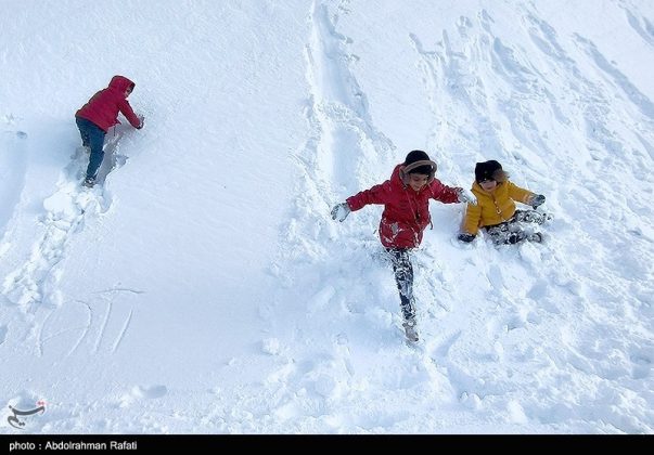 Snowfall in the Heights of Tarikdarreh, Iran's Hamadan