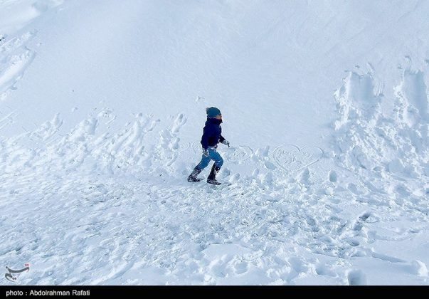 Snowfall in the Heights of Tarikdarreh, Iran's Hamadan